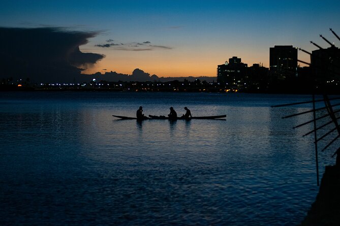 1-Hour Condado Lagoon Paddleboard Rental in San Juan - Where You’ll Paddle: Calm Water, Big Views, and Wildlife Chances
