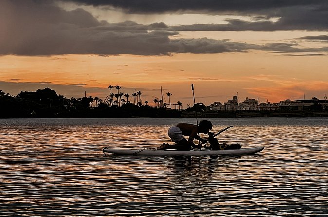 1-Hour Condado Lagoon Paddleboard Rental in San Juan - Who This Paddleboard Rental Fits Best (Beginners and Experienced Paddlers)