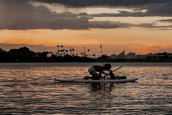 1-Hour Condado Lagoon Paddleboard Rental in San Juan - Practical Tips That Make the Experience Smoother