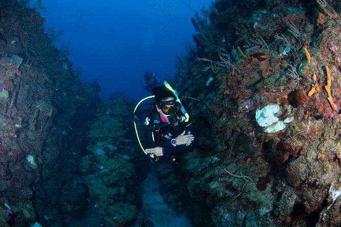 2-Tank Scuba Boat Trip in World-Class Sites @ Copamarina - Price and logistics: what $235 really buys