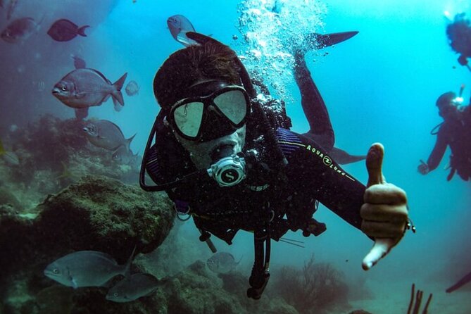 2-Tank Scuba Boat Trip in World-Class Sites @ Copamarina - The Wall: 80-foot visibility and the big animal zone