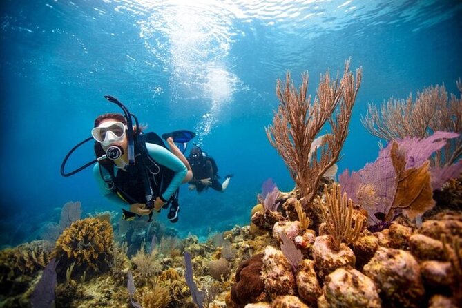 2-Tank Scuba Boat Trip in World-Class Sites @ Copamarina - Mangroves, coral reefs, and the coast’s real “in-between” habitats