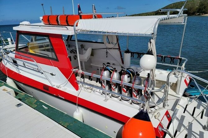 2-Tank Scuba Boat Trip in World-Class Sites @ Copamarina - Small crew feel: what 6 participants changes