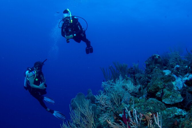 2-Tank Scuba Boat Trip in World-Class Sites @ Copamarina - How the crew plans your two underwater sessions
