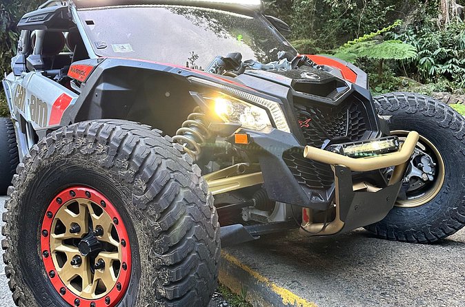 3-Hour Private UTV Tour in San Juan - Who this private UTV tour suits best