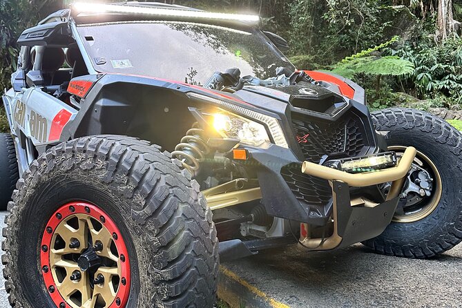 3-Hour Private UTV Tour in San Juan - Stop-by-stop: San Juan, Ocean Park, Piñones, and Isla Verde