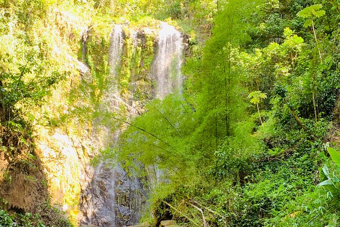 Adventure to a Hidden Waterfall, Private Tour - Why the Isla Verde to Bayamon plan makes sense for a half-day outdoors break