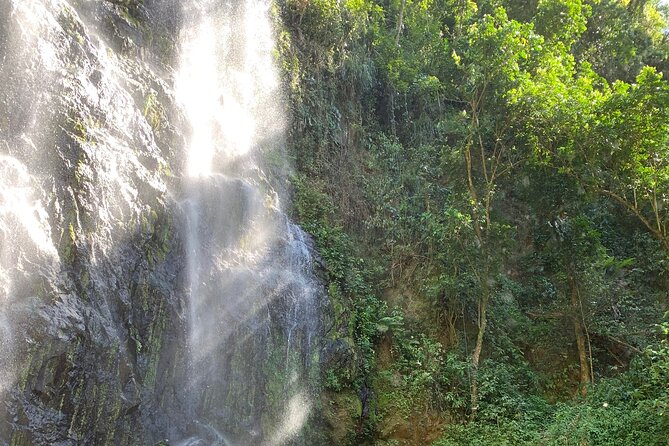 Adventure to a Hidden Waterfall, Private Tour - Pickup, private vehicle, and what you gain by going solo as a group