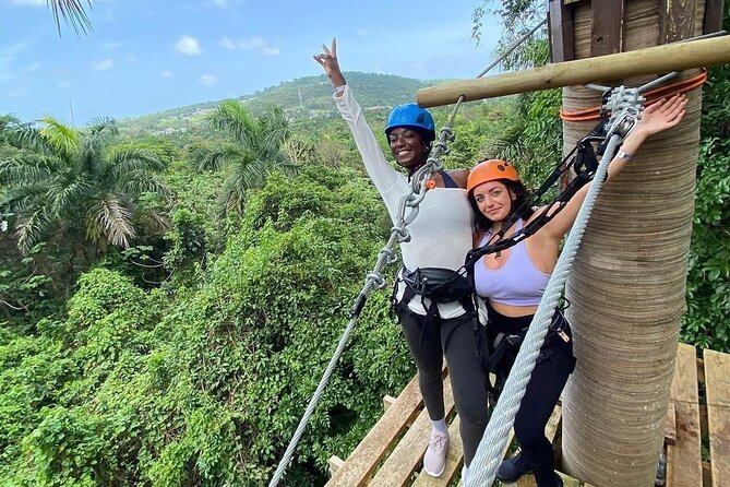 Adventure Trail Tour in the foothills of the National Rainforest - Key highlights worth knowing before you go