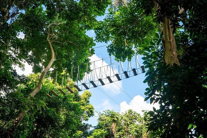 Adventure Trail Tour in the foothills of the National Rainforest - Who this is best for, and who should rethink it