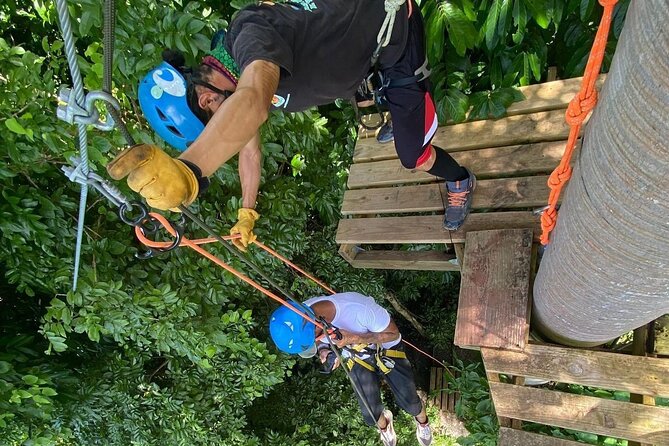 Adventure Trail Tour in the foothills of the National Rainforest - Booking tips that make the day easier