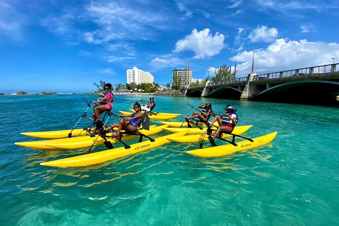 Adventure Water Bike in Condado Lagoon, San Juan - Water Bikes in Condado Lagoon: Easy Fun With Real Wildlife Odds