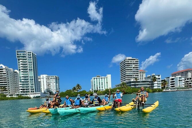 Adventure Water Bike in Condado Lagoon, San Juan - Wildlife Spotting Plan: Manatees, Turtles, Reef Fish, and Starfish