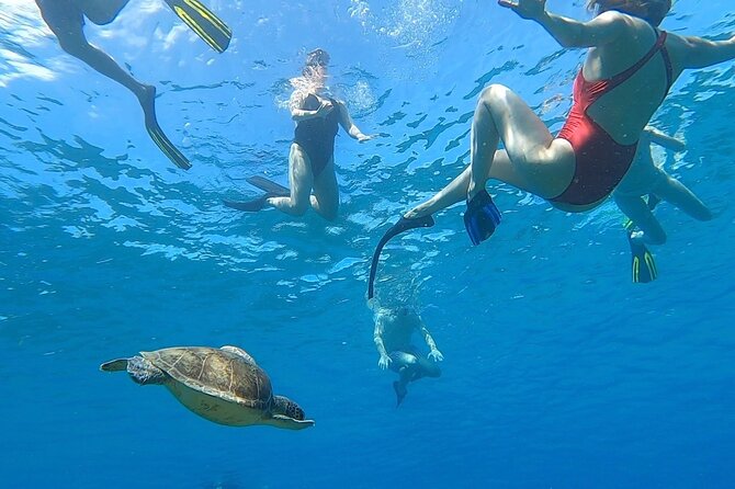Aguadilla Tropical Snorkeling - Peña Blanca Beach and the shore-reef advantage