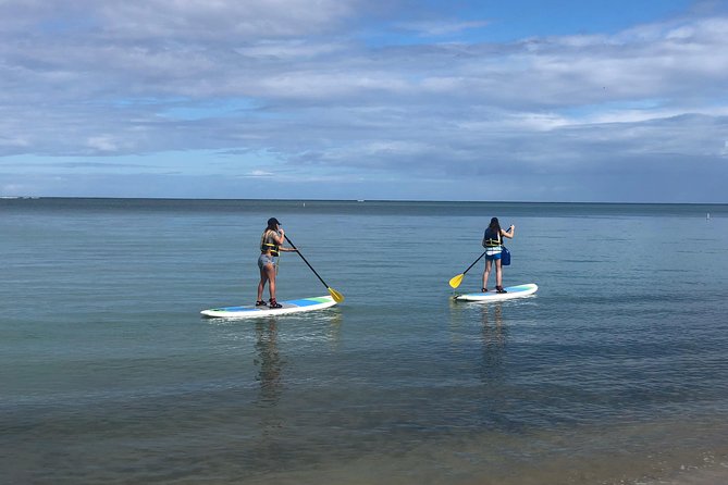 All-Day Paddleboard Rental - Fajardo, Puerto Rico - Key things I’d plan around