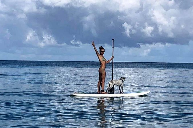All-Day Paddleboard Rental - Fajardo, Puerto Rico - Wildlife spotting: how to actually improve your odds