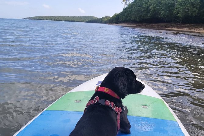 All-Day Paddleboard Rental - Fajardo, Puerto Rico - Weather and safety: the rules are simple, and that’s good