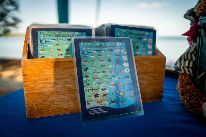All-Day Paddleboard Rental – Fajardo, Puerto Rico - Getting started at Pirate Snorkeling Shack, and why the first 20 minutes matter