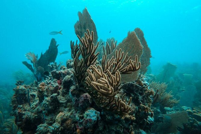 All Inclusive Beach and Snorkel Boat Tour to Icacos Island - The boat ride out: Tortuga comfort and how the crew runs it