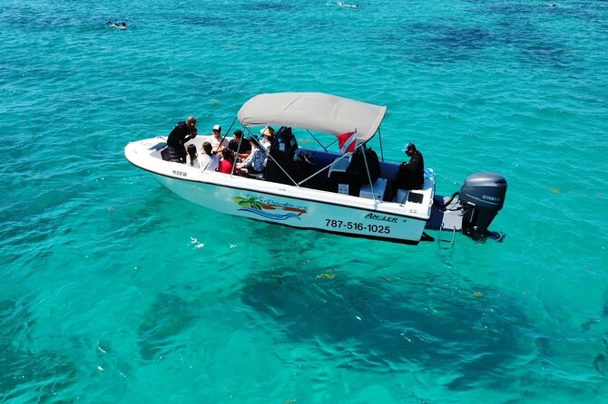 All-Inclusive Private Charter to Icacos or Palomino Islands - The 4-Hour Flow: What Your Day Likely Feels Like