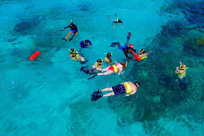 All Inclusive Snorkel and Slide Boat Tour: Icacos or Vieques - Price and Value: What $135 Covers and Why It Usually Works