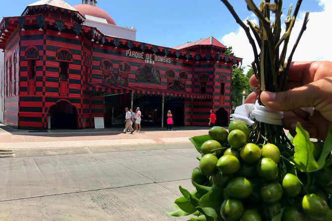 Around the Island Tour From San Juan - Key Things You’ll Notice Right Away