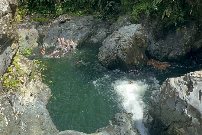 Authentic El Yunque Rainforest Adventure - Waterfalls & Slides - The first 20 minutes: safety briefing before you enter the jungle