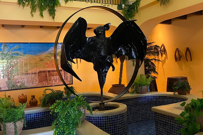Bacardi Rum Distillery and Old San Juan Tour - Drink expectations: cocktail, Special Reserve taste, and a shot