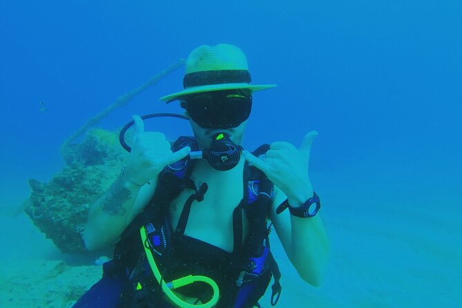 Beginner Scuba Diving Guided Tour - No Experience Required - Wildlife promise: how the fish and coral angle fits a beginner trip