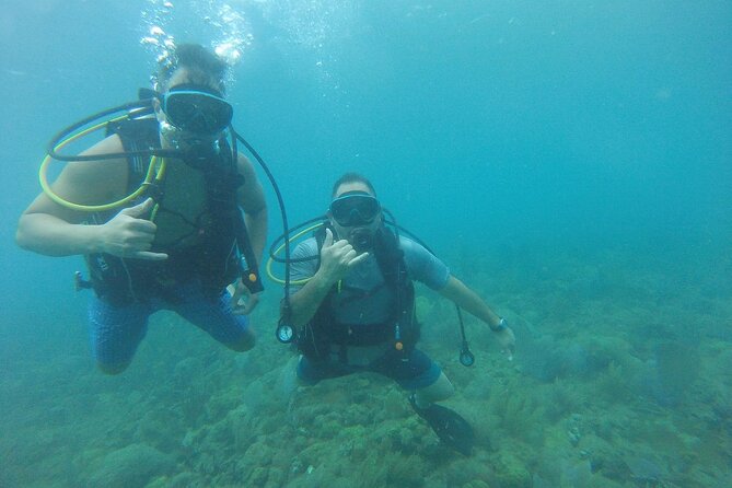 Beginner Scuba Diving Guided Tour - No Experience Required - Where you meet, how the timing works, and why it matters