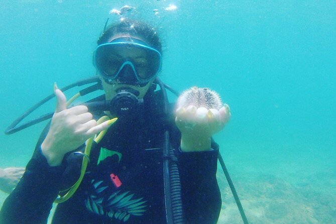 Beginner Scuba Diving Guided Tour - No Experience Required - Weather in Rincón: why cancellations happen and how to plan for it