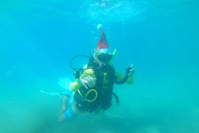 Beginner Scuba Diving Guided Tour - No Experience Required - Price and value: is $99 reasonable here?