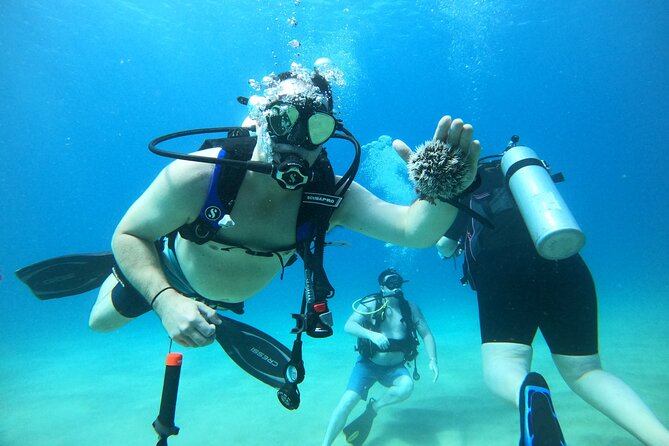 Beginner Scuba Diving Guided Tour - No Experience Required - Gear, coaching, and free photos: the value you actually feel