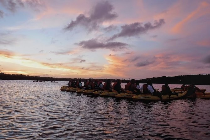 Bio Bay Kayak Tour in Fajardo - Dusk tour vs later departure: pick your comfort level