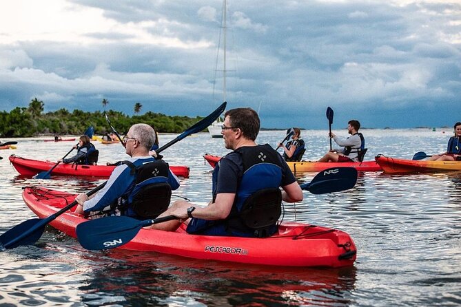 Bio Bay Kayak Tour in Fajardo - The big payoff: bioluminescence that can be subtle or showy