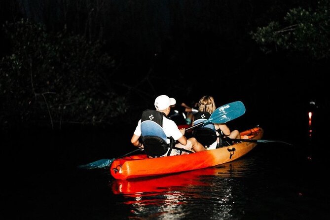 Bio Bay Kayak Tour in Fajardo - In the dark: how you stay oriented without extra light