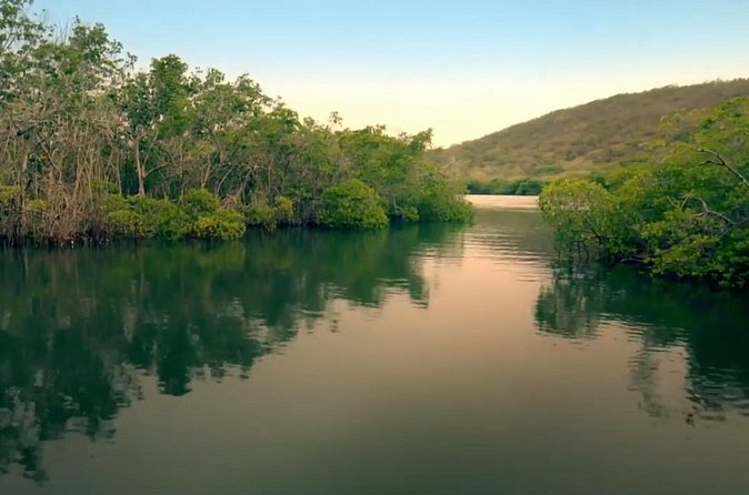 Bio Bay Magic and Rum Tasting Tour from San Juan - The Southbound Drive: Views, Timing, and Why the Long Ride Matters