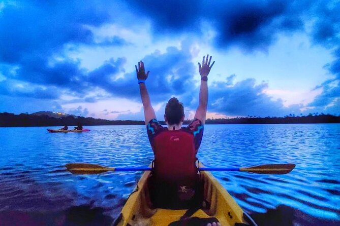 Bio Bay Night Kayak Tour in Fajardo - Quick things to know before you paddle
