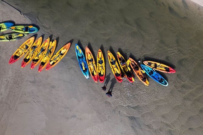 Bio Bay Night Kayak Tour in Fajardo - Price and value: why $85 can make sense here