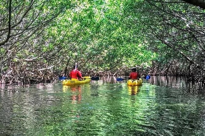 Bio Bay Night Kayak Tour in Fajardo - Kayak Village check-in: the part that makes the whole trip better