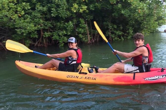 Bio Bay Night Kayak Tour in Fajardo - The bioluminescence moment: what you’re really seeing