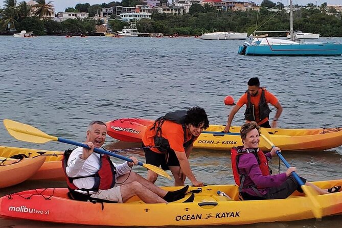 Bio Bay Night Kayak Tour in Fajardo - Who this tour suits best