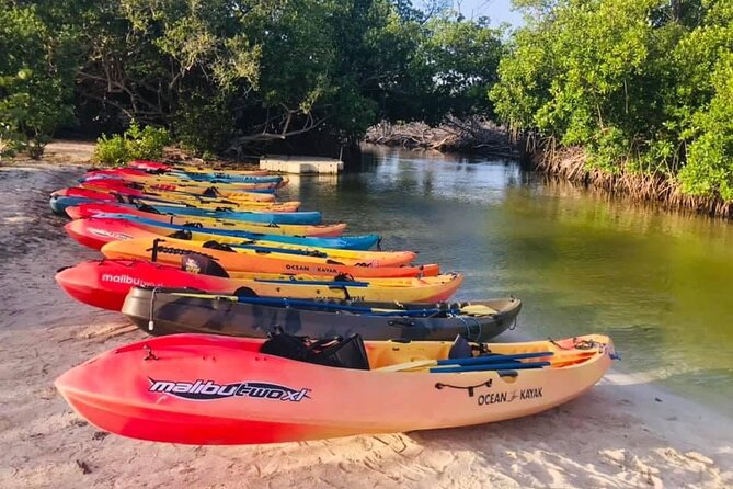 Bio Bay Night Kayak Tour in Fajardo - How long is the tour, and where the time goes