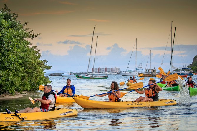 Bio Bay Night Kayak Tour with Transport from San Juan - Getting There From San Juan: The Drive That Sets the Mood