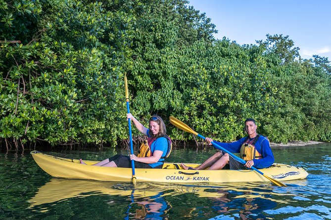 Bio Bay Night Kayak Tour with Transport from San Juan - Your Kayak Moment: Safety Gear and a First-Timer Friendly Setup
