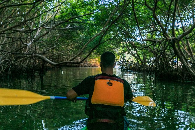 Bio Bay Night Kayaking | Laguna Grande, Fajardo - Price and value: is $65 worth a night kayak?