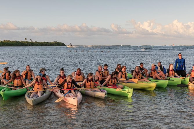 Bio Bay Night Kayaking with Transport from San Juan Area - Guides in the dark: how instruction changes the experience