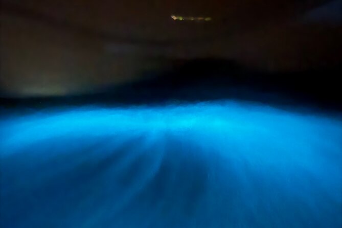 Bio Bay Tour Vieques - Full Clear Canoes Experience - Key things that make this Bioluminescent Bay Tour work