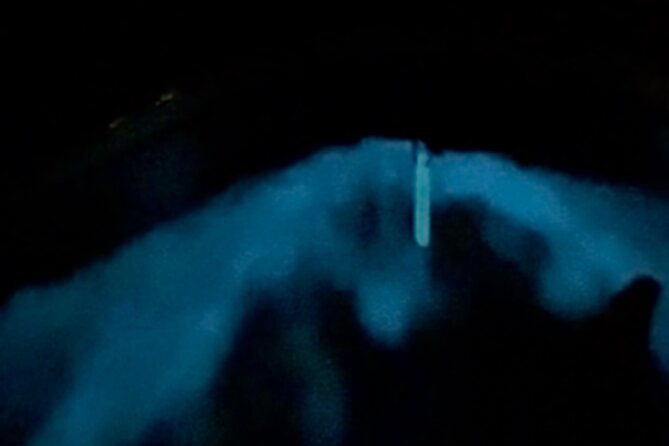Bio Bay Tour Vieques - Full Clear Canoes Experience - The bioluminescent bay moment, where guides shape the experience