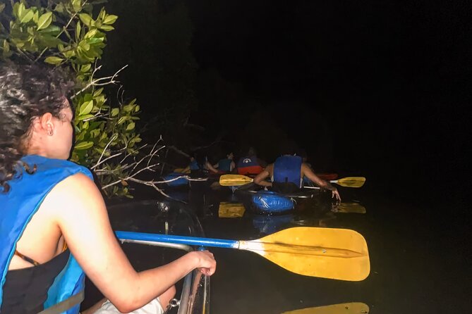 Bio Bay Tour Vieques - Full Clear Canoes Experience - Value and price, what $57 buys you in the real world